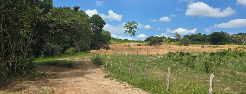 Fazenda, 71 hectares - Foto 12