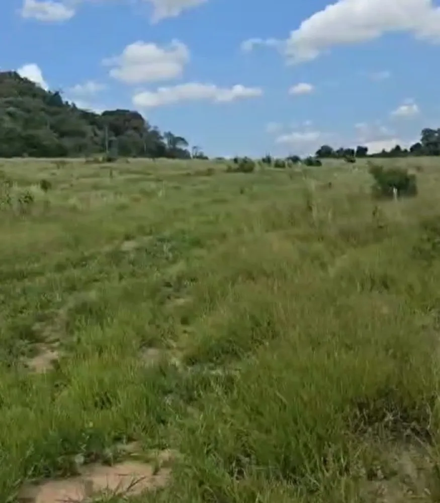 Fazenda, 71 hectares - Foto 7