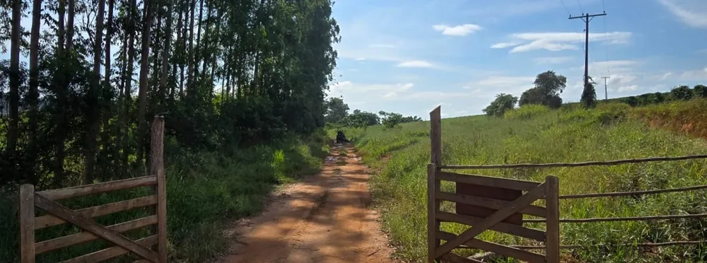 Fazenda, 71 hectares - Foto 10