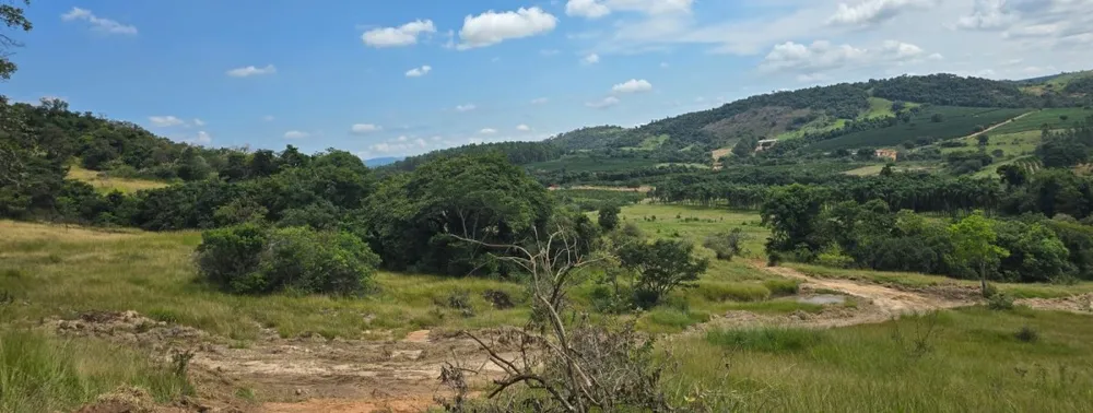 Fazenda, 71 hectares - Foto 8