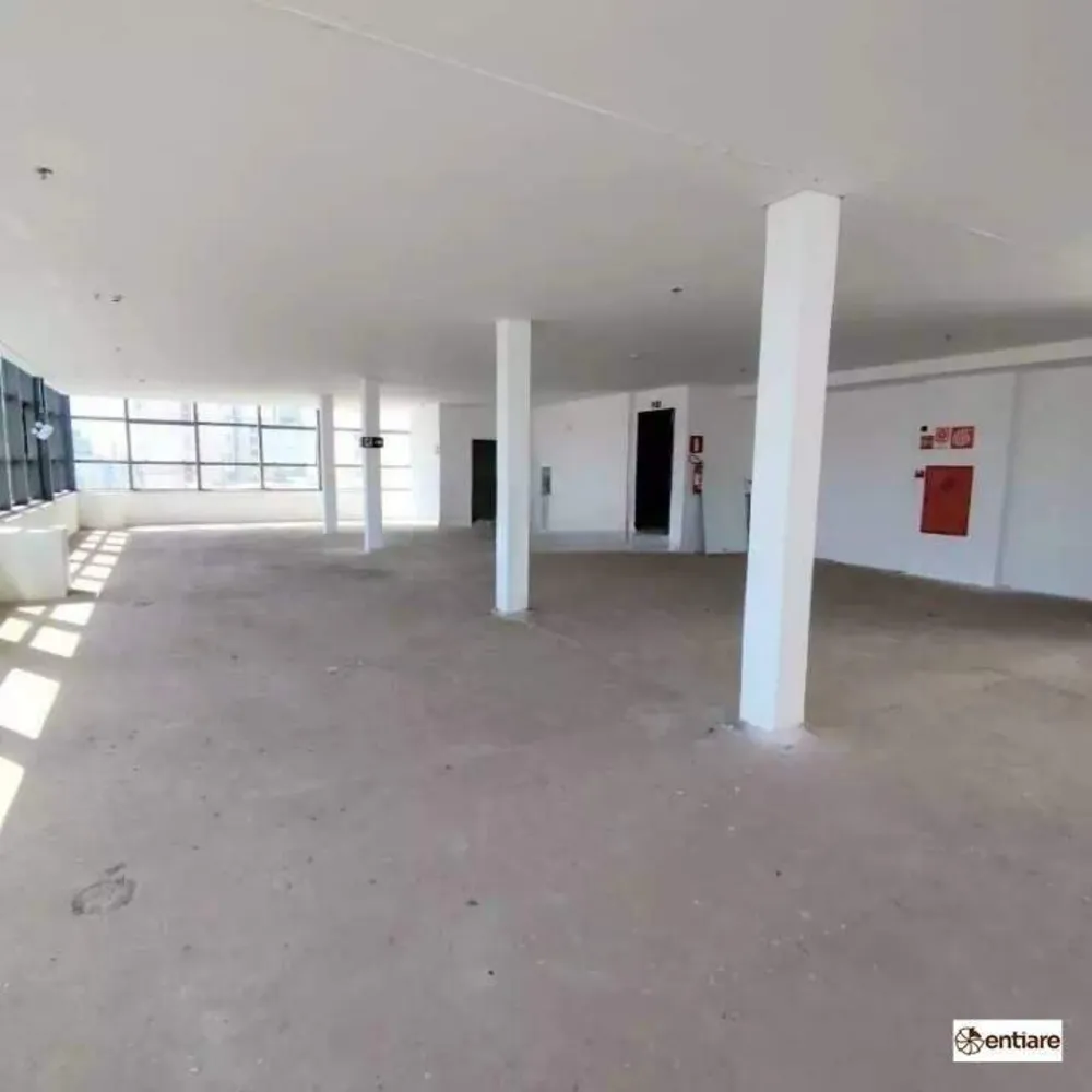 Sala-Conjunto, 330 m² - Foto 6