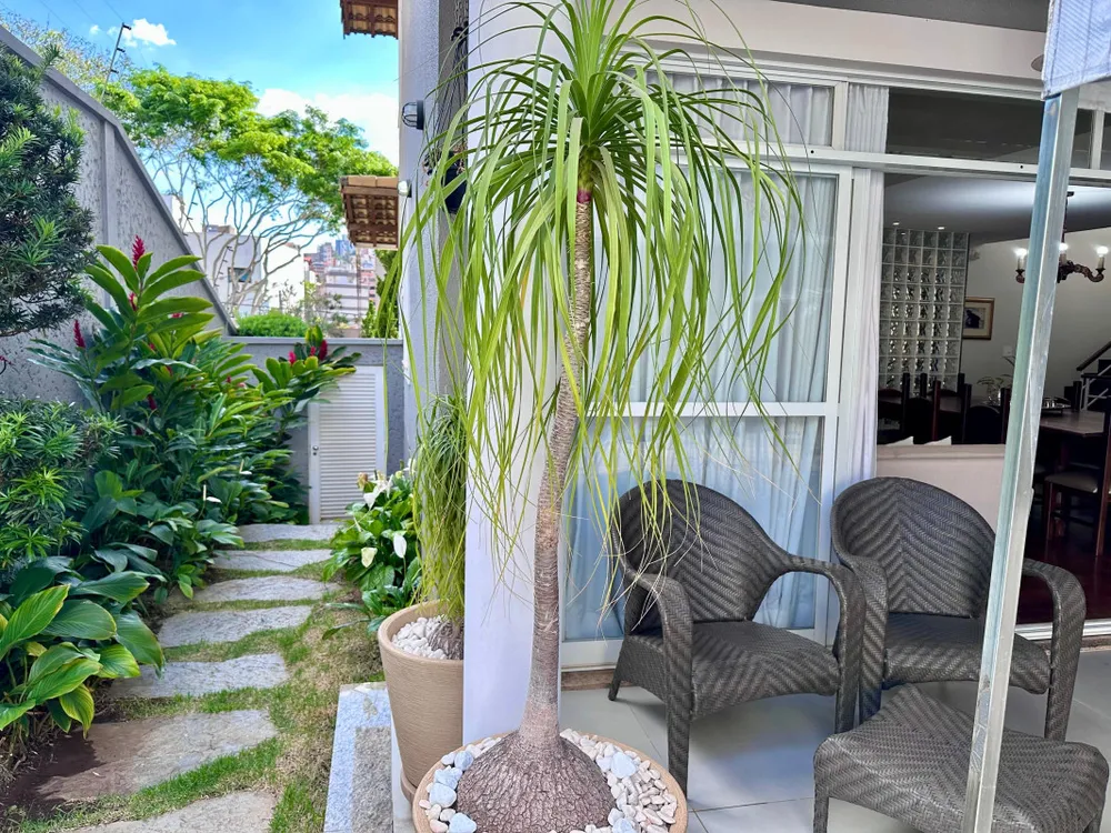 Casa, 3 quartos, 364 m² - Foto 10