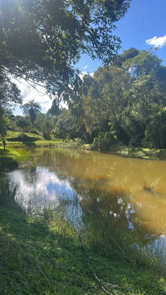 Fazenda, 86 hectares - Foto 11