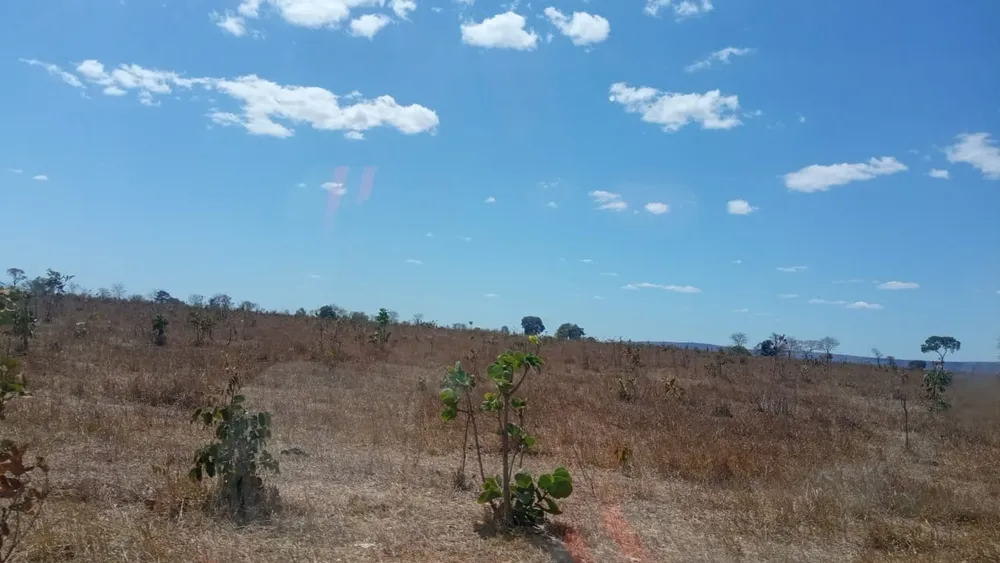Fazenda, 3 quartos - Foto 6