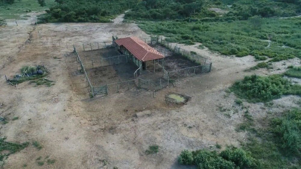 Fazenda, 3 quartos - Foto 1