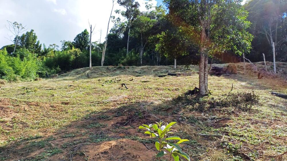 Chácara à venda com 1 quarto, 5000m² - Foto 6