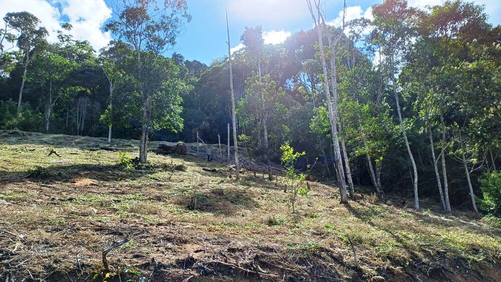 Chácara à venda com 1 quarto, 5000m² - Foto 5