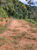Chácara, 1 quarto, 5000 m² - Foto 8