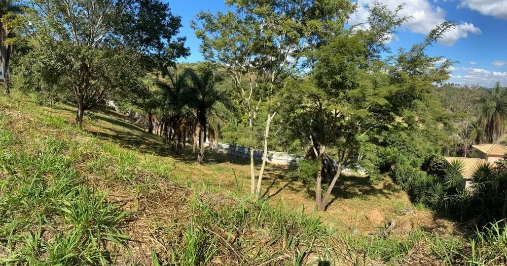 Terreno - Foto 2