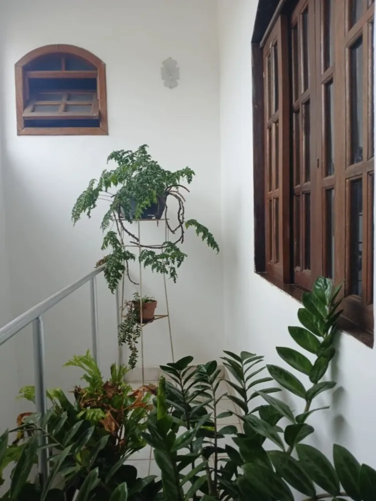 Casa, 4 quartos, 224 m² - Foto 7