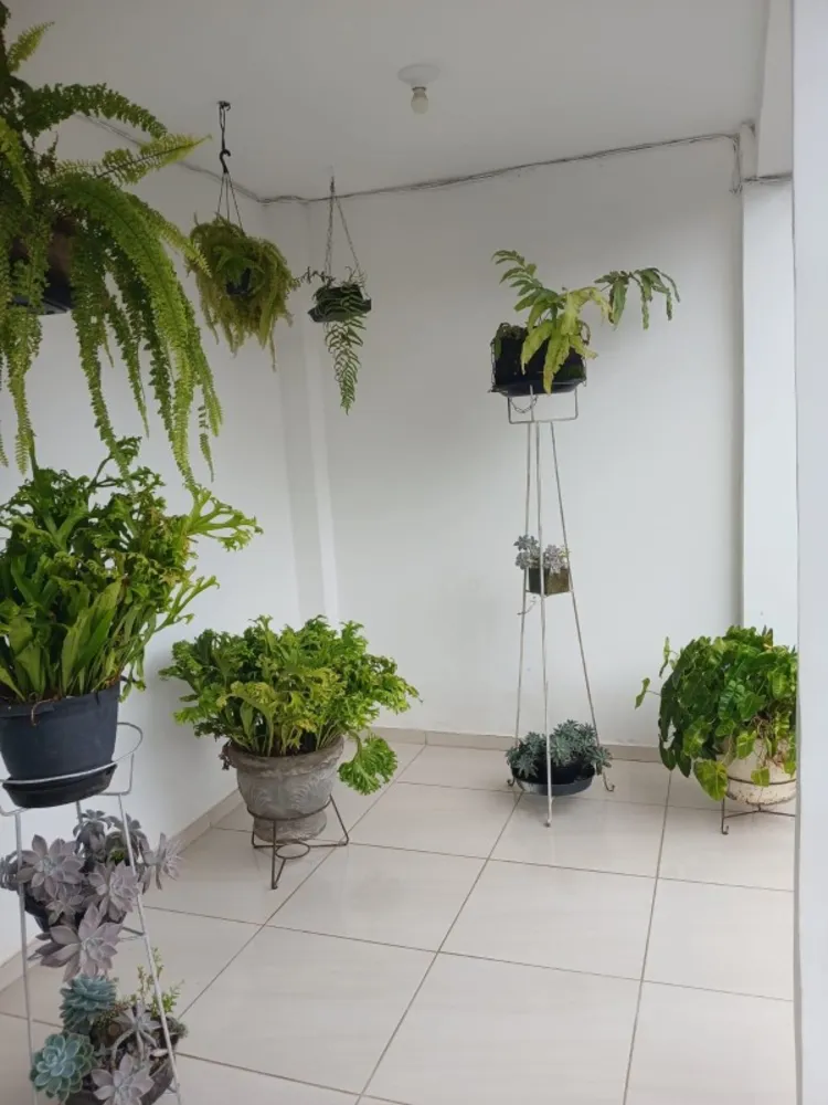 Casa, 4 quartos, 224 m² - Foto 5