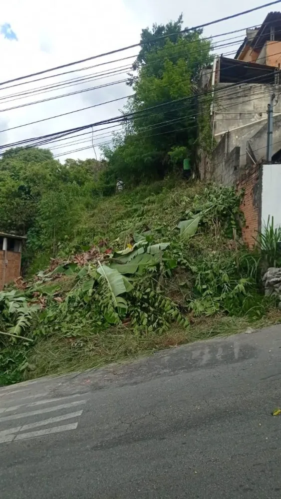 Terreno, 290 m² - Foto 8