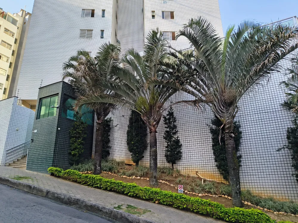 Apartamento, 3 quartos, 77 m² - Foto 6