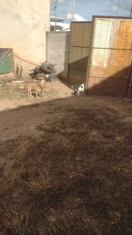 Terreno, 200 m² - Foto 7