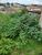 Terreno, 360 m² - Foto 2