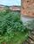 Terreno, 360 m² - Foto 3