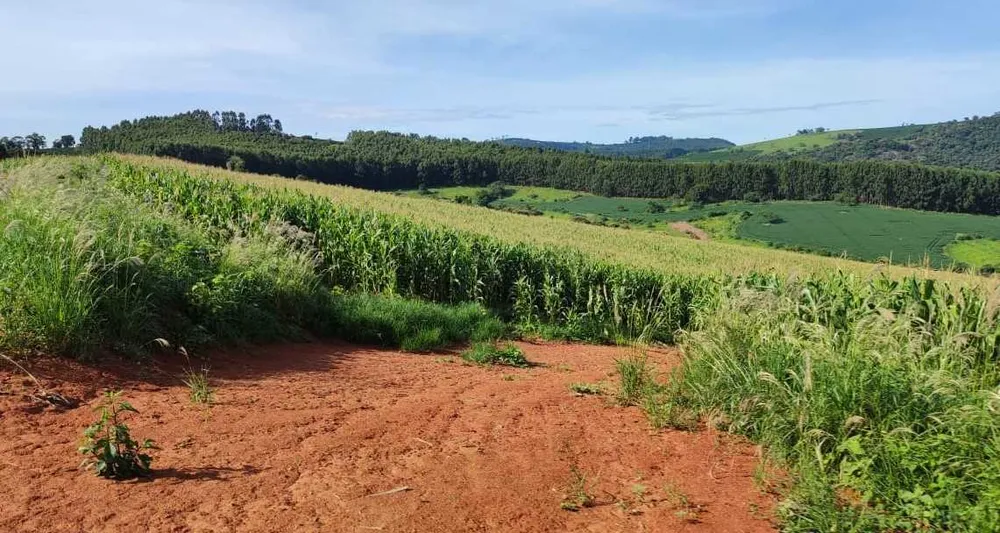 Fazenda, 300 hectares - Foto 1