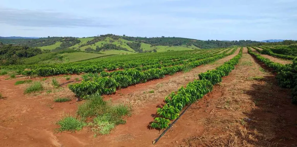 Fazenda, 300 hectares - Foto 11