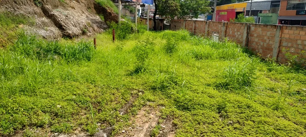 Terreno, 864 m² - Foto 10
