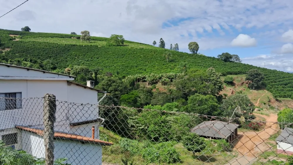 Fazenda, 127 hectares - Foto 8