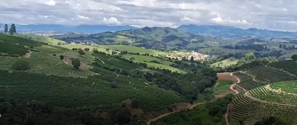 Fazenda, 127 hectares - Foto 8