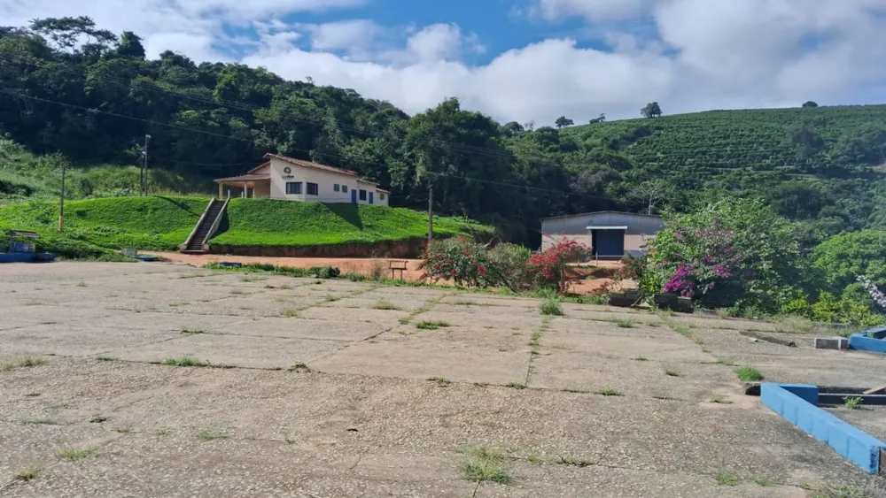 Fazenda, 127 hectares - Foto 6