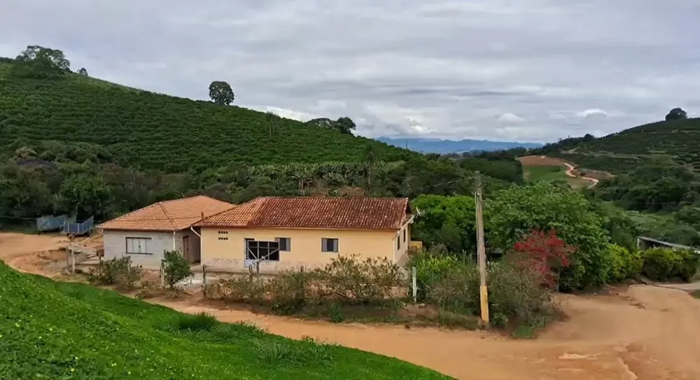 Fazenda, 127 hectares - Foto 4