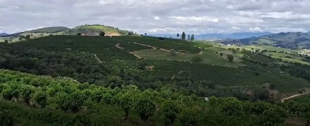 Fazenda, 127 hectares - Foto 7