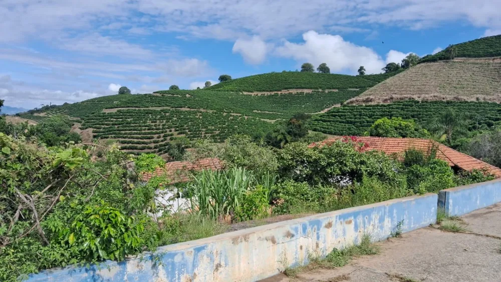 Fazenda, 127 hectares - Foto 10