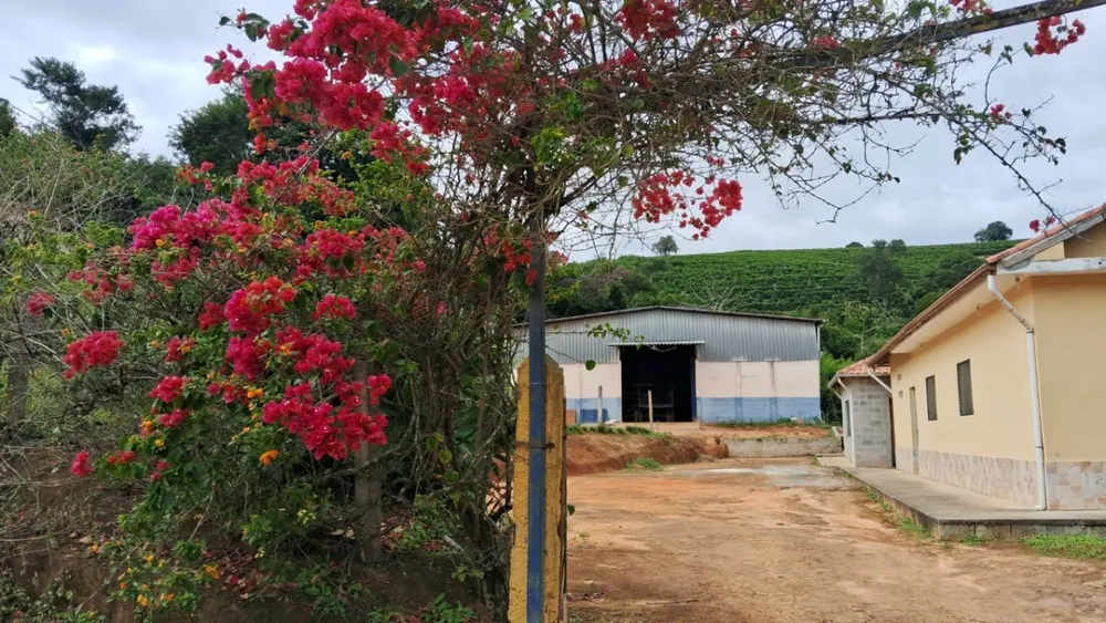 Fazenda, 127 hectares - Foto 3