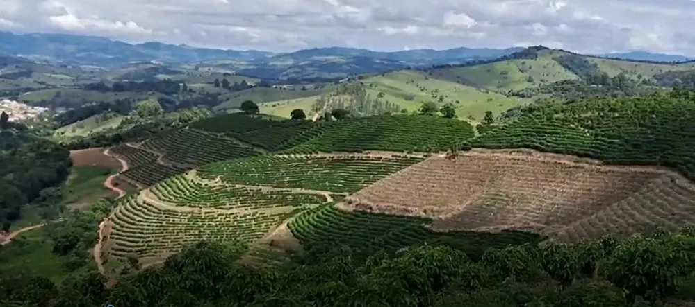 Fazenda, 127 hectares - Foto 9