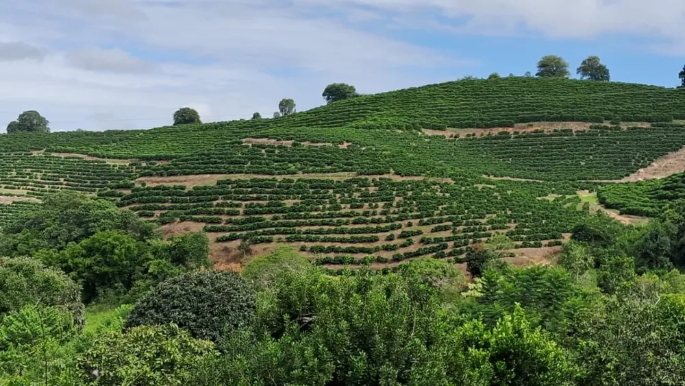 Fazenda, 127 hectares - Foto 7