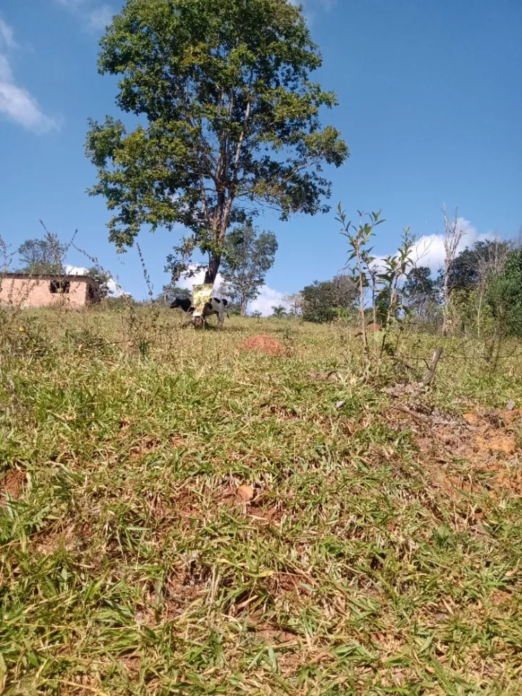 Terreno, 3078 m² - Foto 1