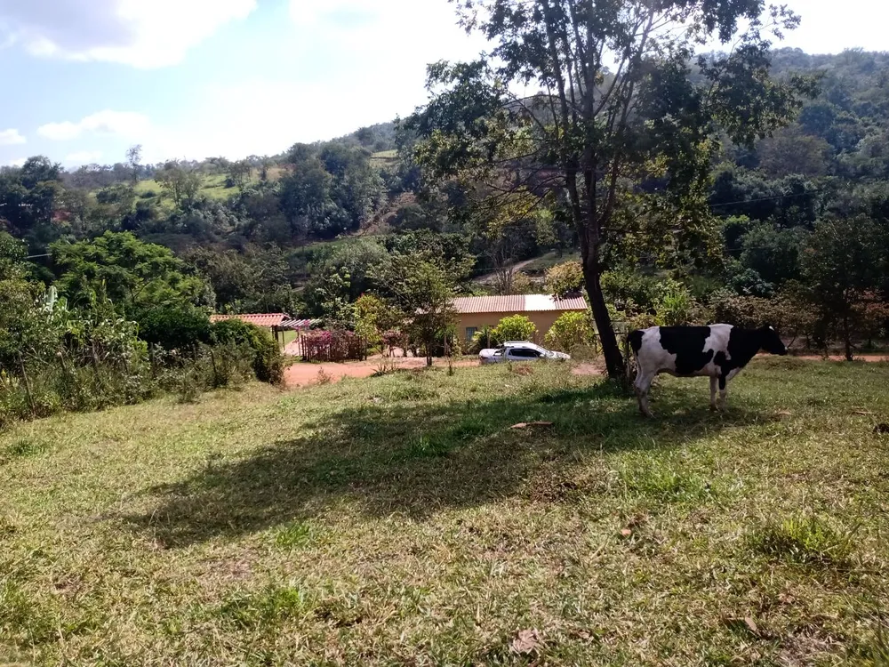 Terreno, 3078 m² - Foto 4