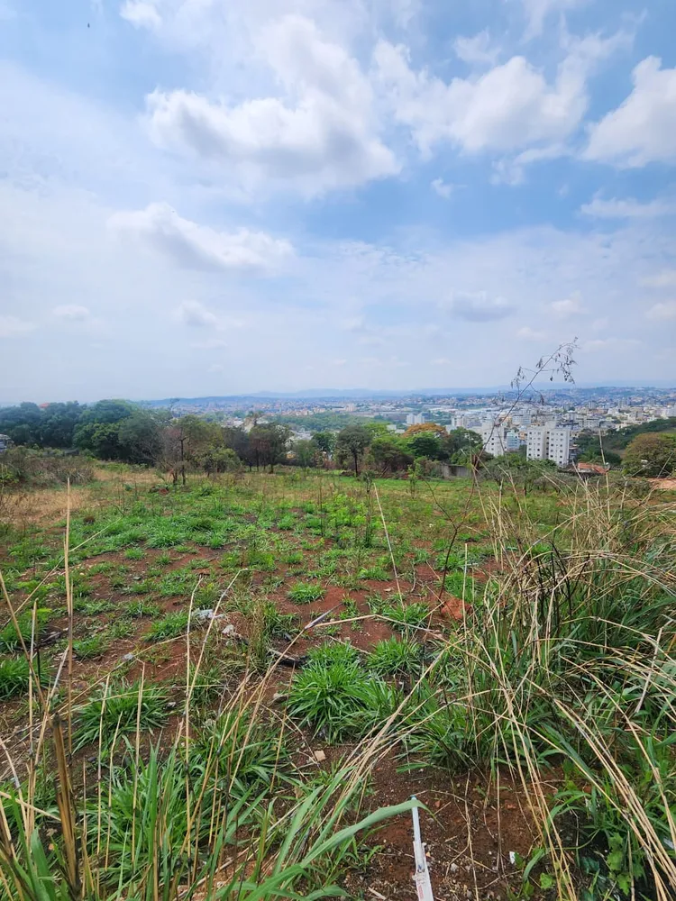 Terreno - Foto 4
