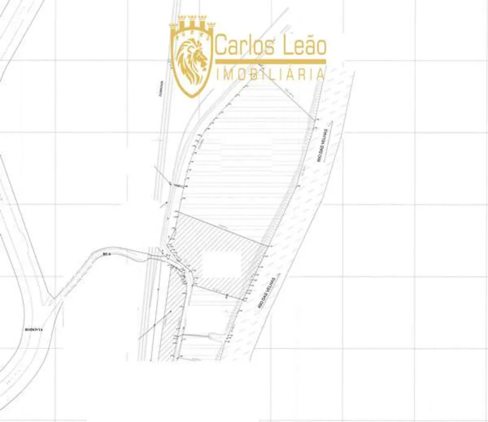 Terreno, 25298 m² - Foto 10