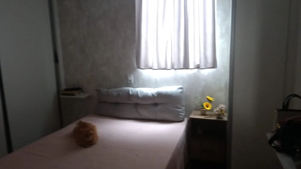 Apartamento, 3 quartos, 80 m² - Foto 6