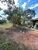 Casa, 3 quartos, 2263 m² - Foto 3