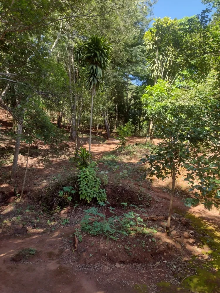 Casa, 4 quartos, 5000 m² - Foto 4