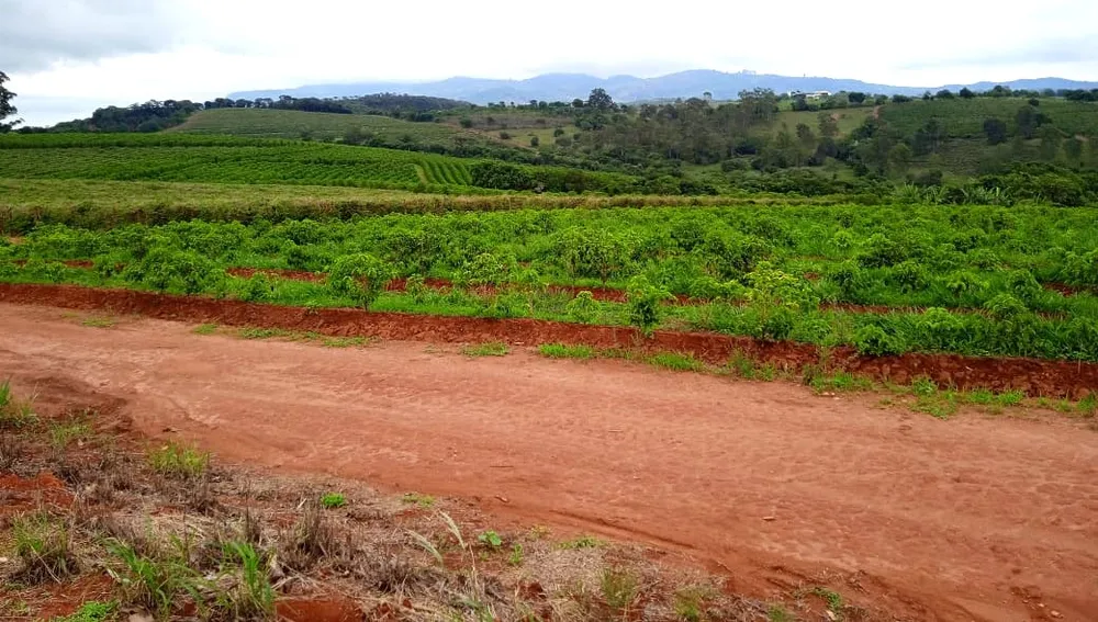 Fazenda, 126 hectares - Foto 9