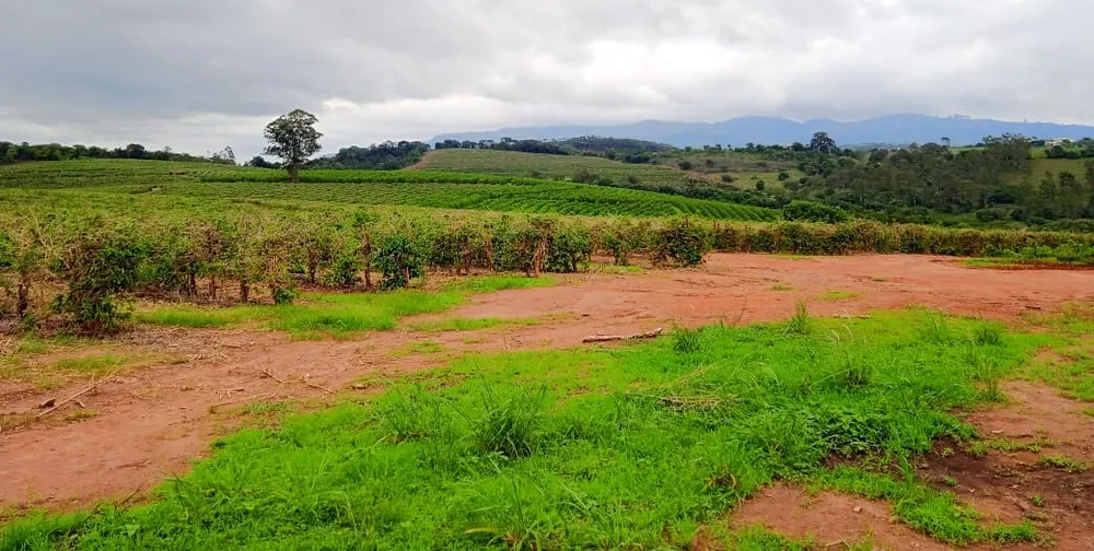 Fazenda, 126 hectares - Foto 10