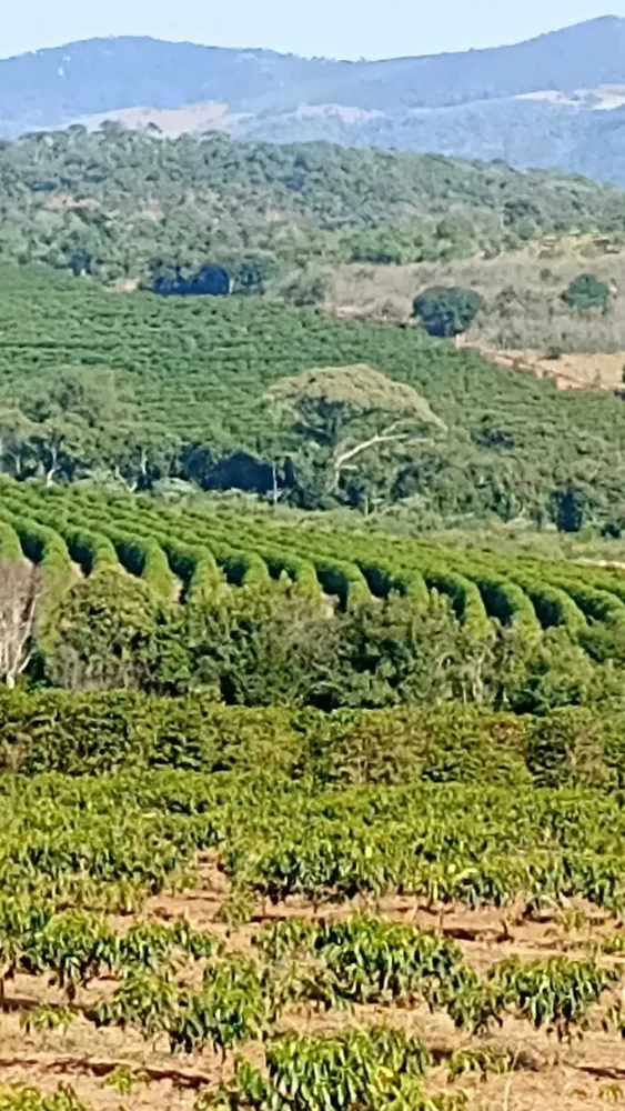 Fazenda, 126 hectares - Foto 16