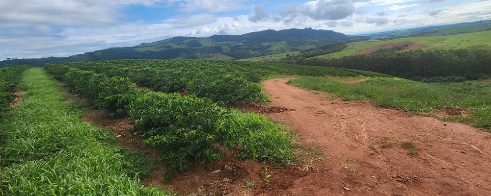 Fazenda, 126 hectares - Foto 1
