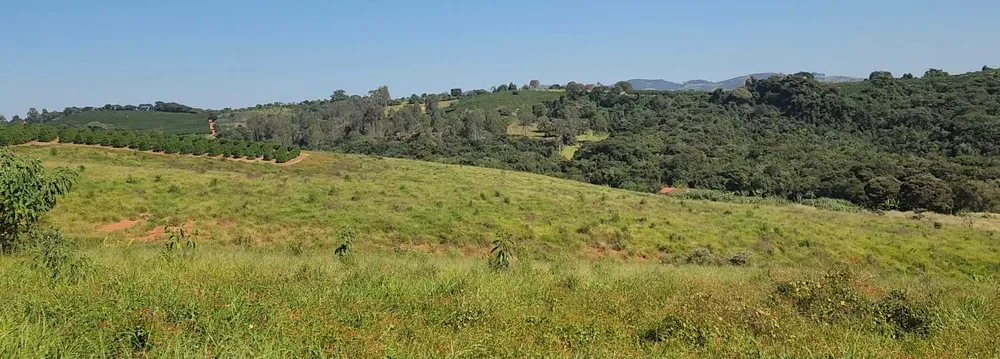 Fazenda, 126 hectares - Foto 13