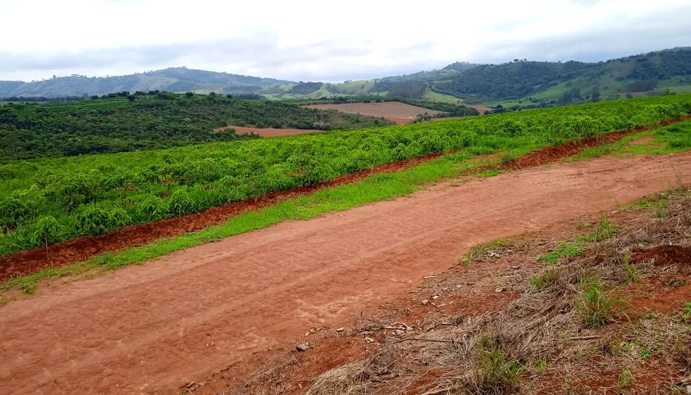 Fazenda, 126 hectares - Foto 7