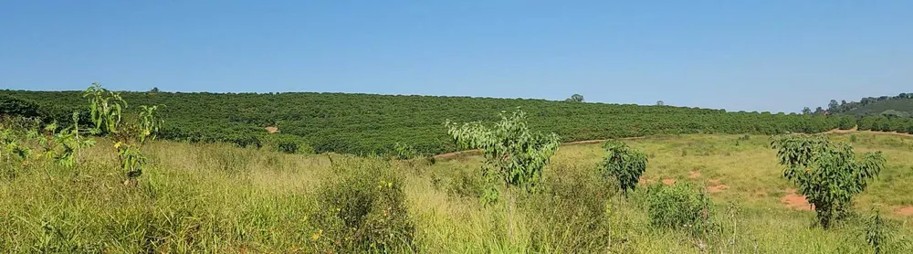 Fazenda, 126 hectares - Foto 11