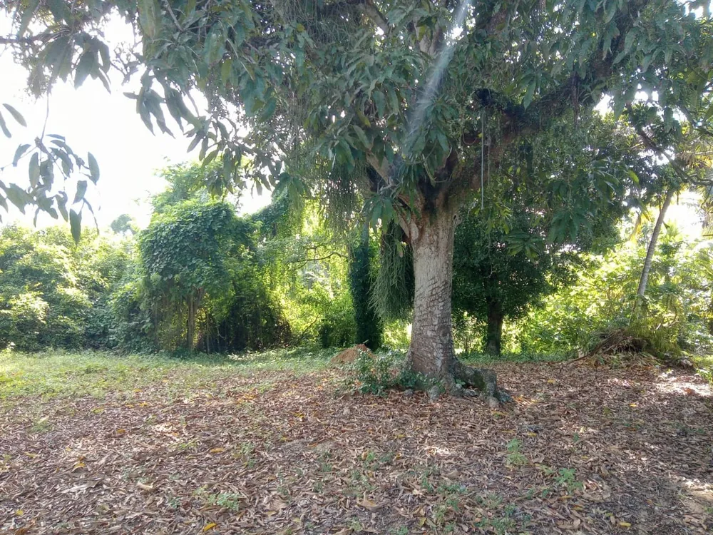 Terreno, 2001 m² - Foto 19