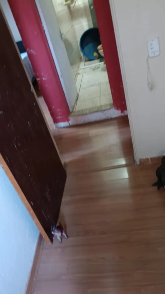 Apartamento, 3 quartos, 70 m² - Foto 7