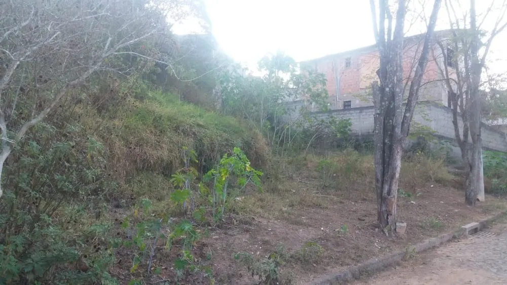 Terreno, 330 m² - Foto 5