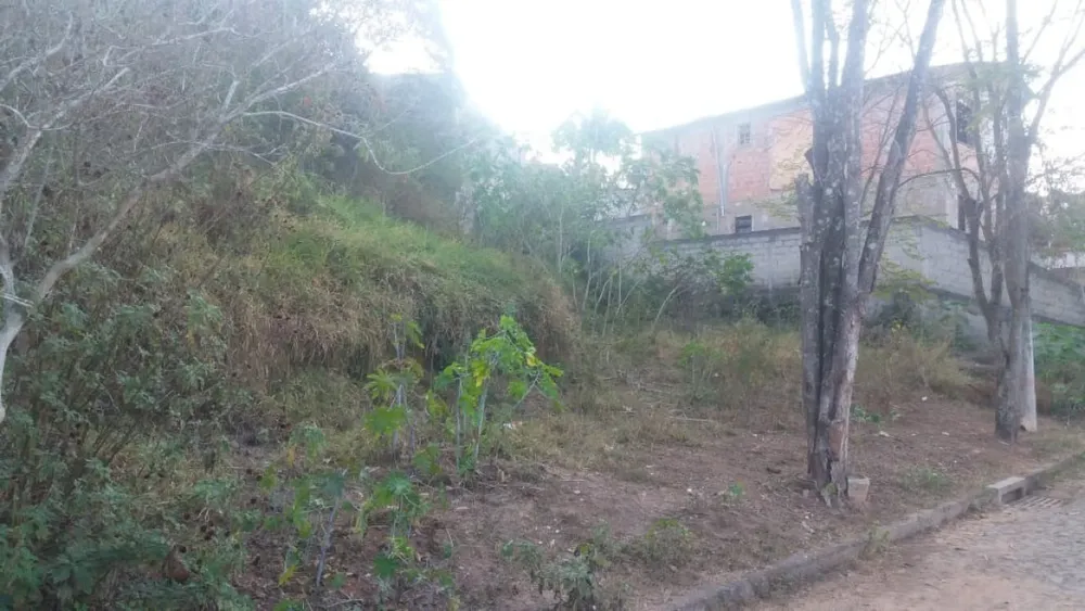 Terreno, 330 m² - Foto 8